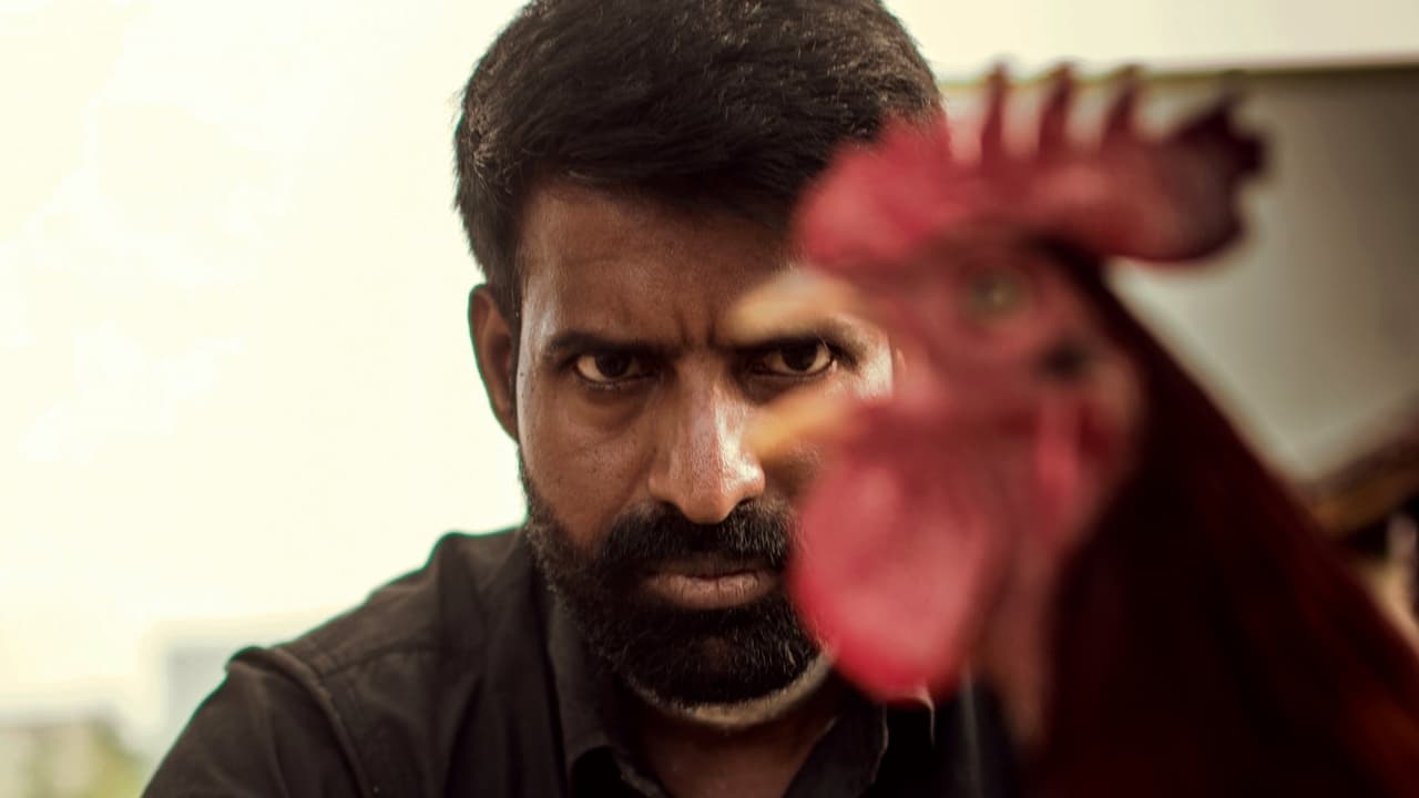 Kottukkaali Movie Screenshot 1