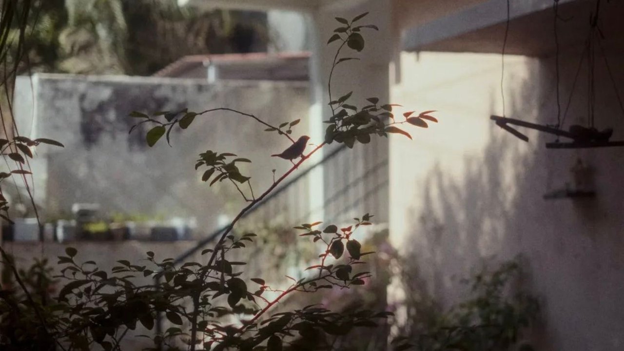 Chaar Phool Hain Aur Duniya Hai Movie Screenshot 5